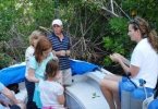 mangrove_field_trip_1