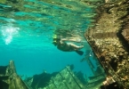 Snorkling the Wreck of the Gamma